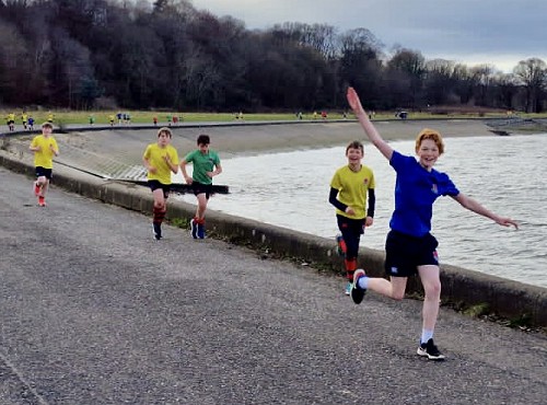 Divisional Cross Country