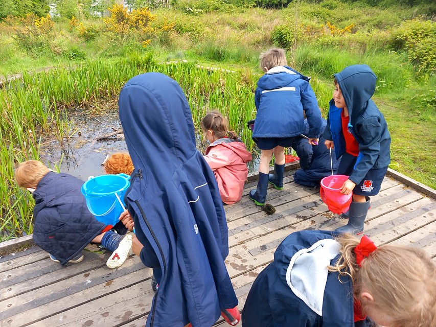 Adventure pond