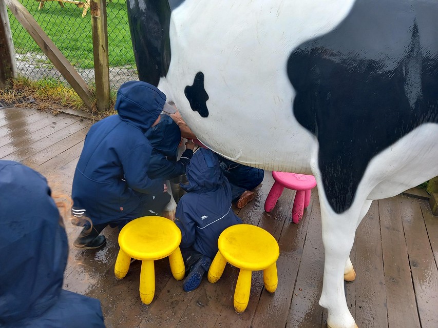 Milking