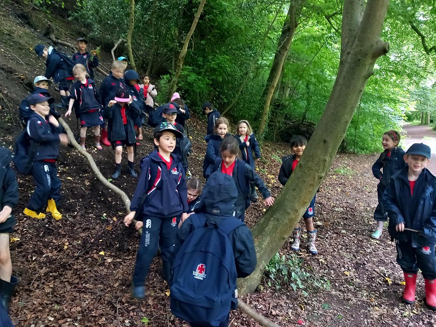 RA walk tree fun