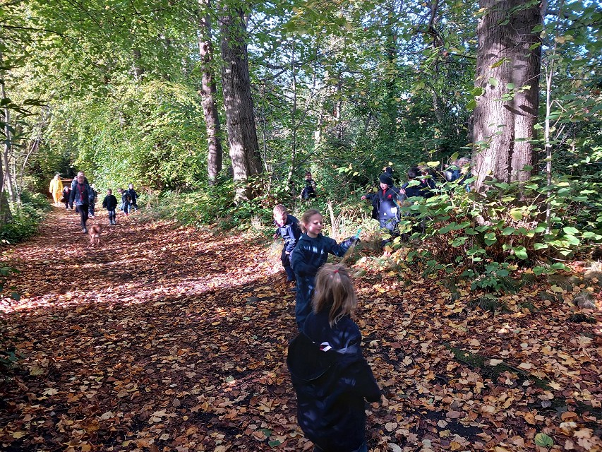 Collecting leaves