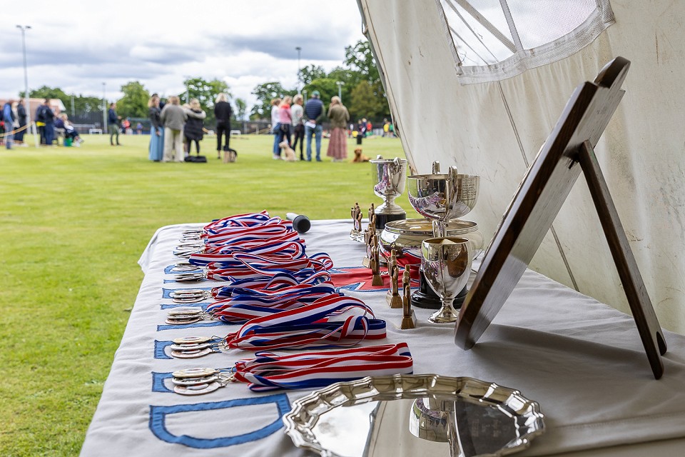 DNP Cargilfield Upper School Sports Day 11.06.24 482