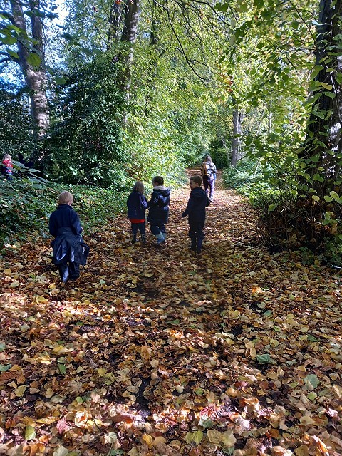 Leafy path