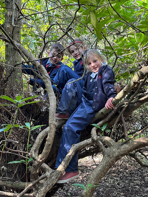 Luca, Izzy and Alexandra