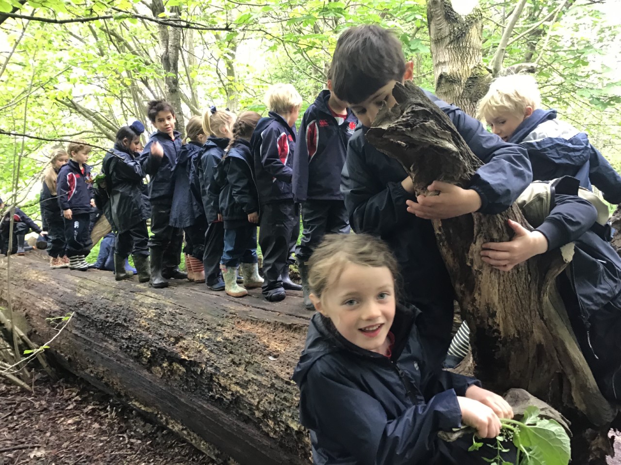 Tree queue